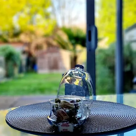 Oasis Citadine Terrasse Intime Jardin Privatif En Plein Centre 70m2 Daire *